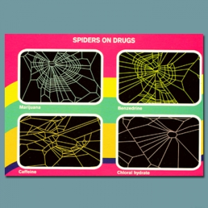 Spiders On Drugs 